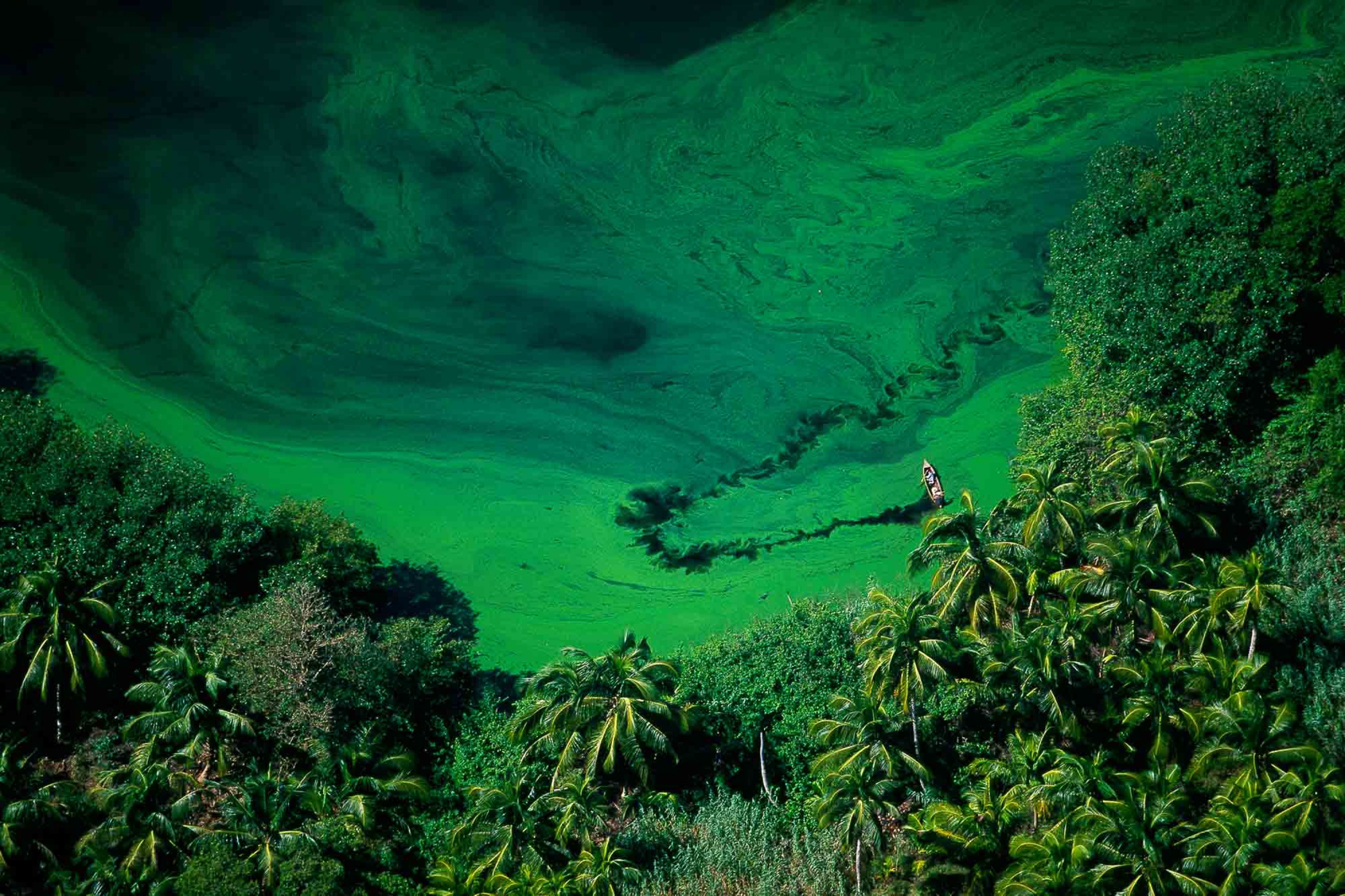 lagoon-yann-arthus-bertrand