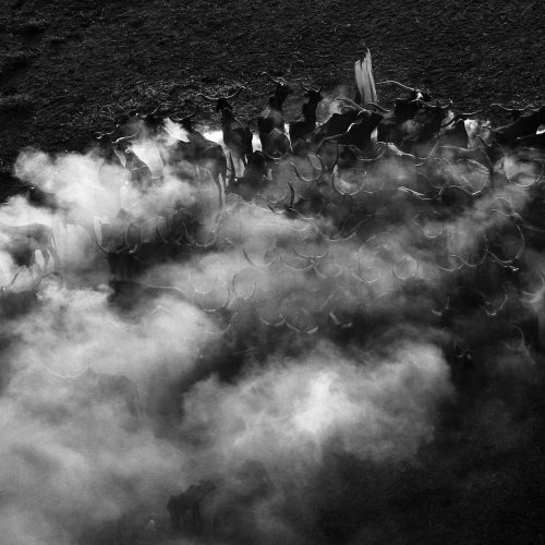 Nomade, Tchad - Yann Arthus-Bertrand Photo